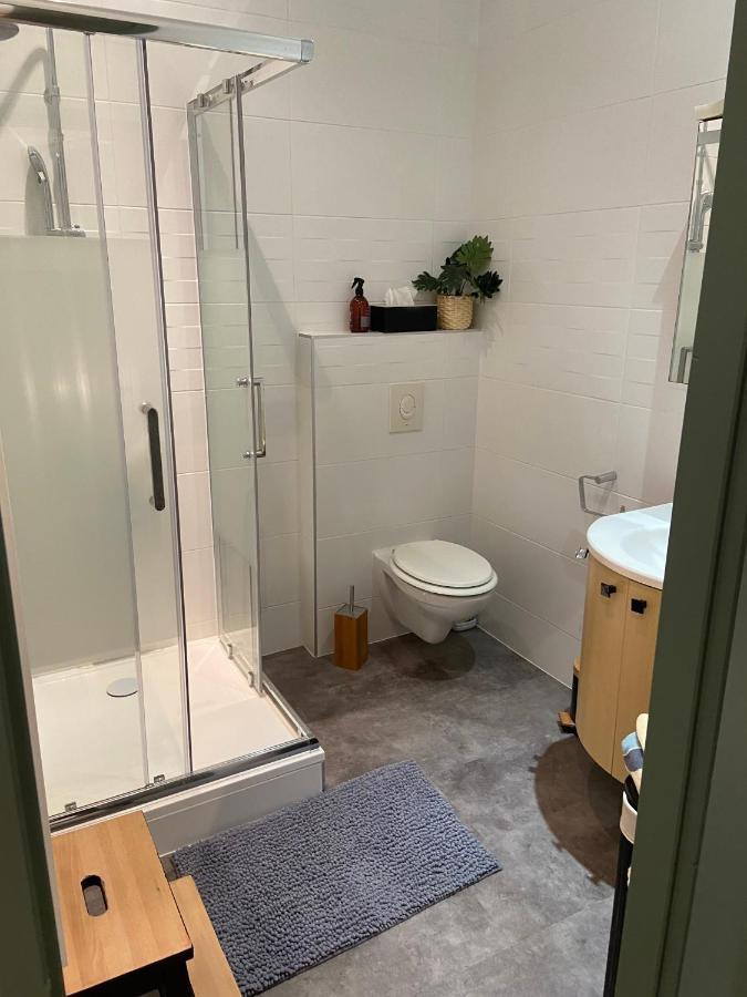 Appartement Cosy Plein Centre De セット エクステリア 写真